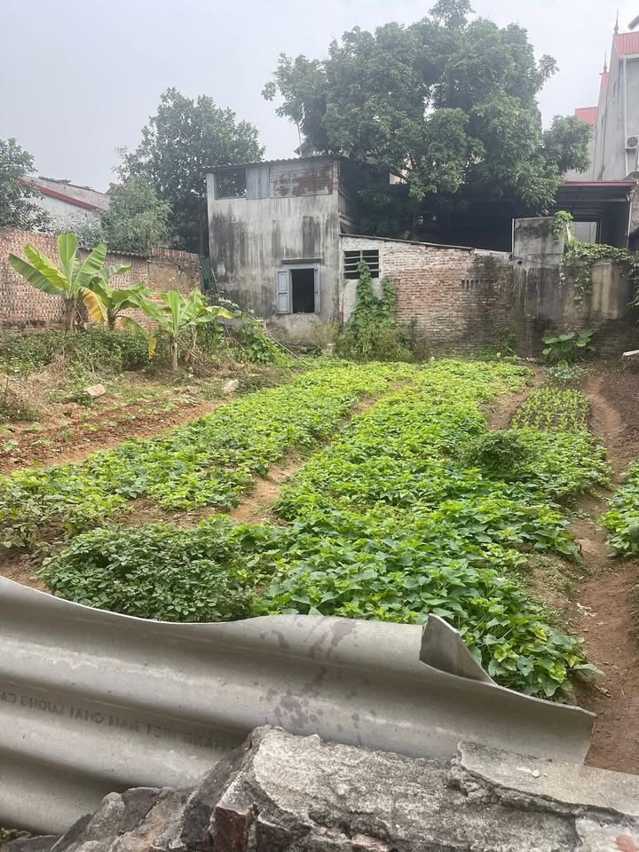 Đất nền Khu Quế Sơn Bắc Ninh 74.1m² giá 1 tỷ - Đường ô tô vào tận nơi!