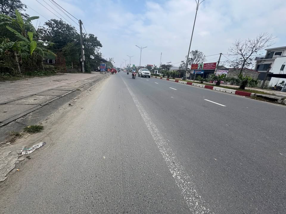 Đất mặt đường 1A, Cẩm Thành 348m² - Phù hợp kinh doanh đa dạng