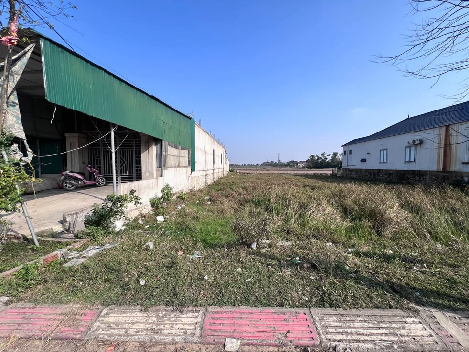 Đất Thôn Quyết Tiến, Thạch Xuân 300m² giá 2 tỷ - Đầu tư kinh doanh sinh lời!