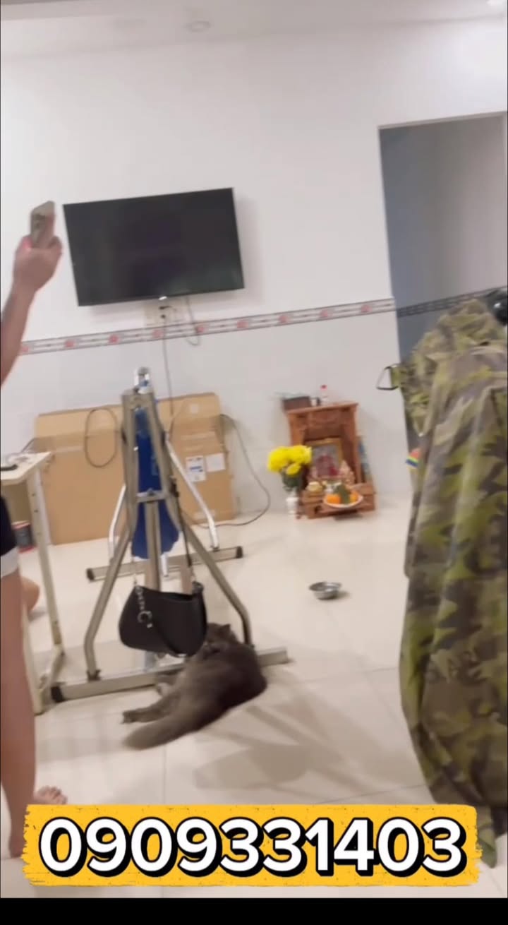 Nhà cho thuê Phan Huy Ích, P15 Tân Bình 48m² giá 7 triệu - Tiện nghi cho gia đình và kinh doanh online!