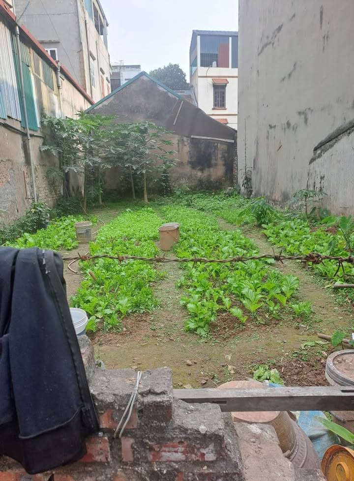 Đất thổ cư Thôn Hội, Cổ Bi, Gia Lâm 68m² giá 4.5 tỷ - Mặt tiền thông thoáng, gần chợ!