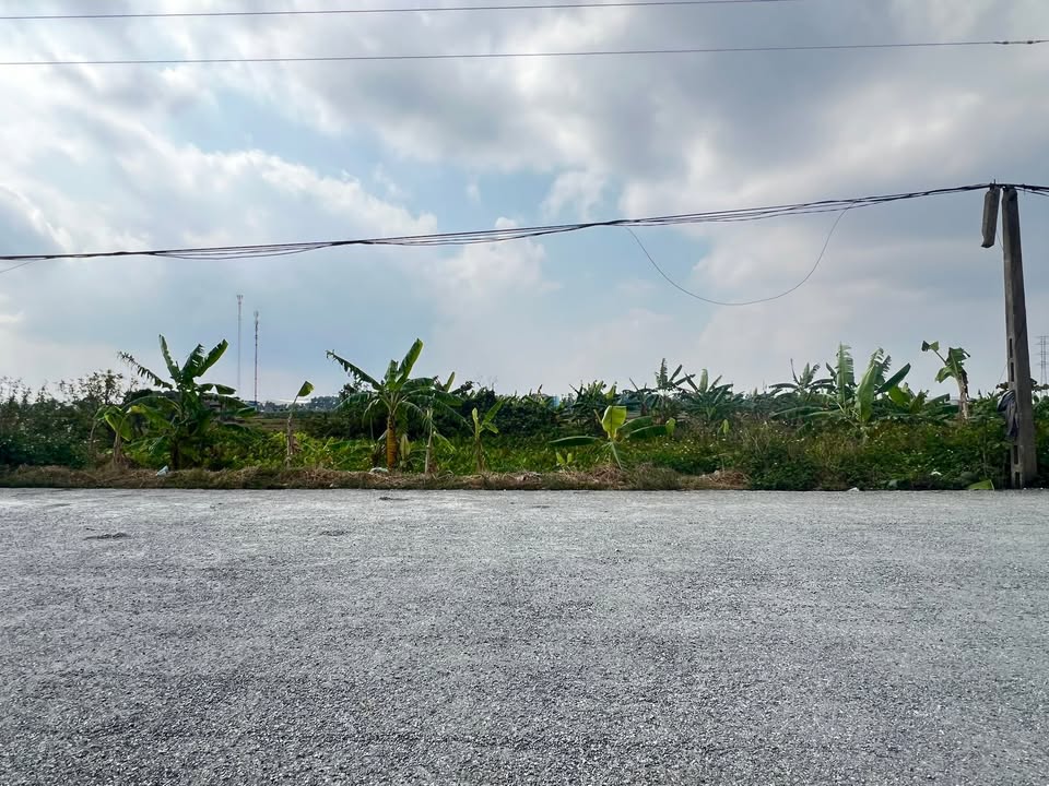 Đất nền Trục xã An Ninh, 125m² giá chỉ 1.3 tỷ - Đầu tư sinh lời ngay!