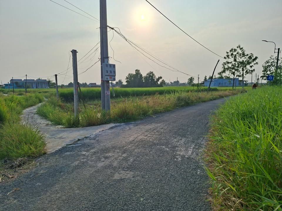 Đất nông nghiệp 2751m² tại Tân Tập, Cần Giuộc - Giá chỉ 2.5 tỷ/1000m²!