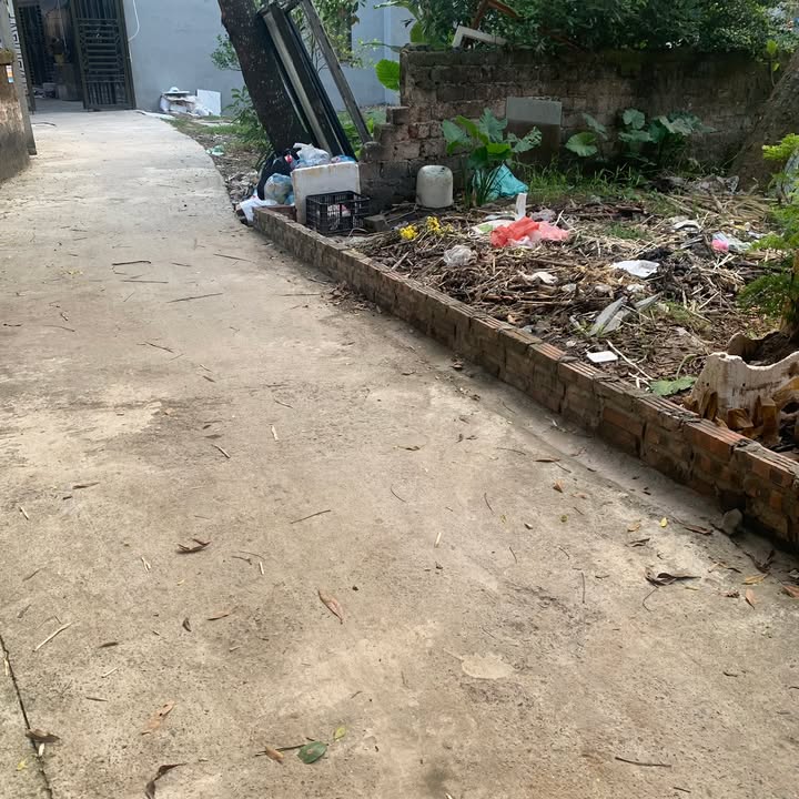 Đất Phượng Đồng Phụng Châu 45m² giá 1 tỷ - Sát Trường Đại Học TDTT