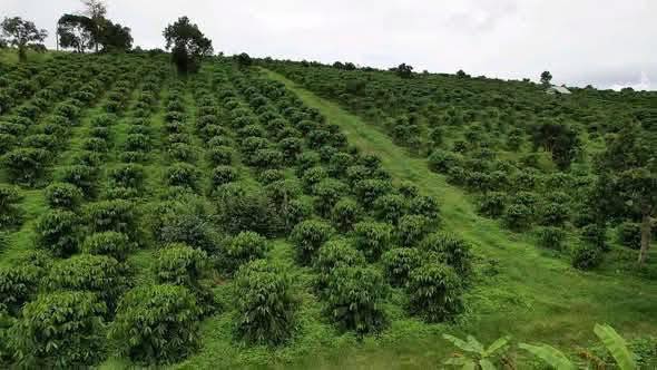 Đất nền 2ha Đắk Hòa giá 5.2 tỷ - Sổ đỏ chính chủ, vị trí đẹp!