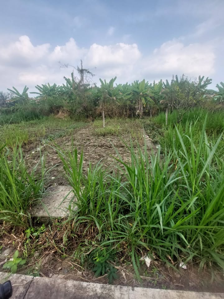 Đất nền Mỹ Lương, xã Mỹ Phong 85m² giá chỉ 500 triệu - Cơ hội đầu tư hấp dẫn!