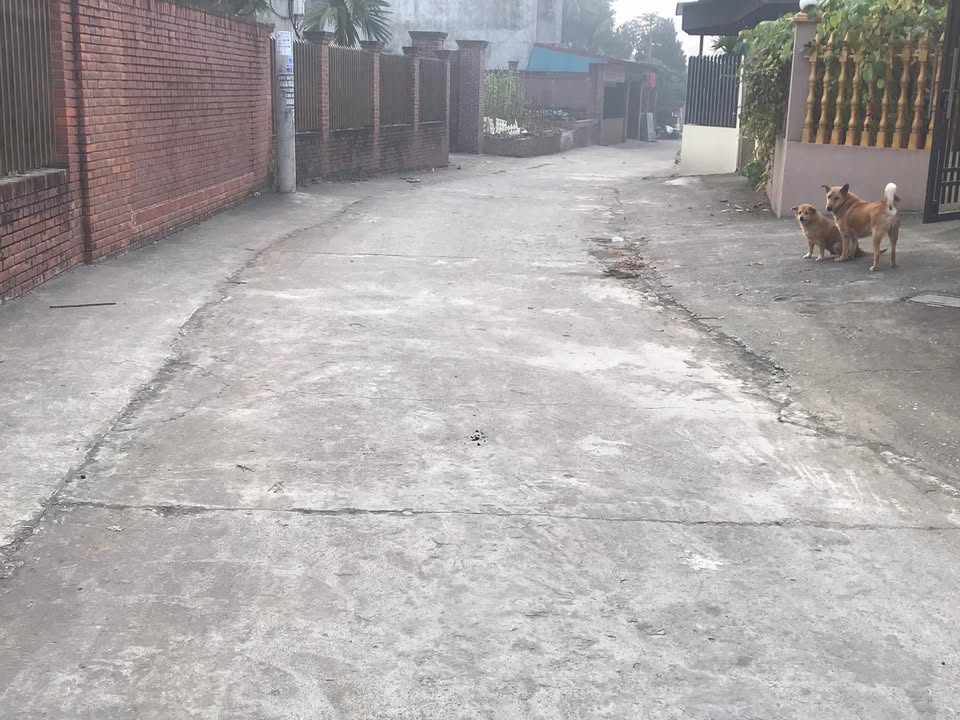 Đất nền khu Liên Minh Minh Phương 1693m² giá 12 tỷ - Mặt tiền rộng 20m, ô tô tránh nhau!