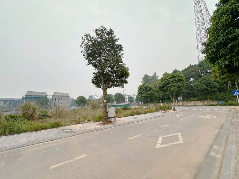 Đất nền khu đô thị Việt Séc Việt Trì 180m² - Hướng Tây Bắc, view hồ thoáng đãng!