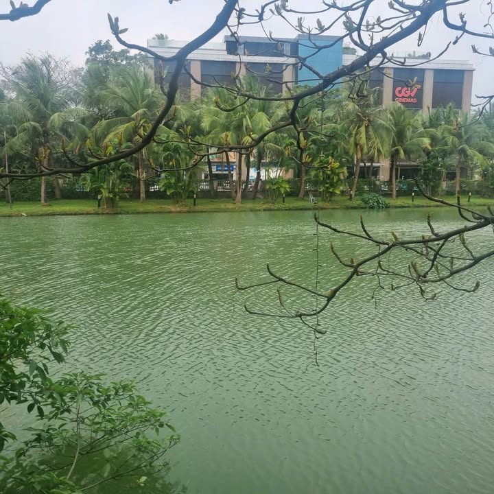 Villa Bằng Lăng 08, Phú Thượng 500m² - Nhà hoàn thiện đẹp, giá thỏa thuận!