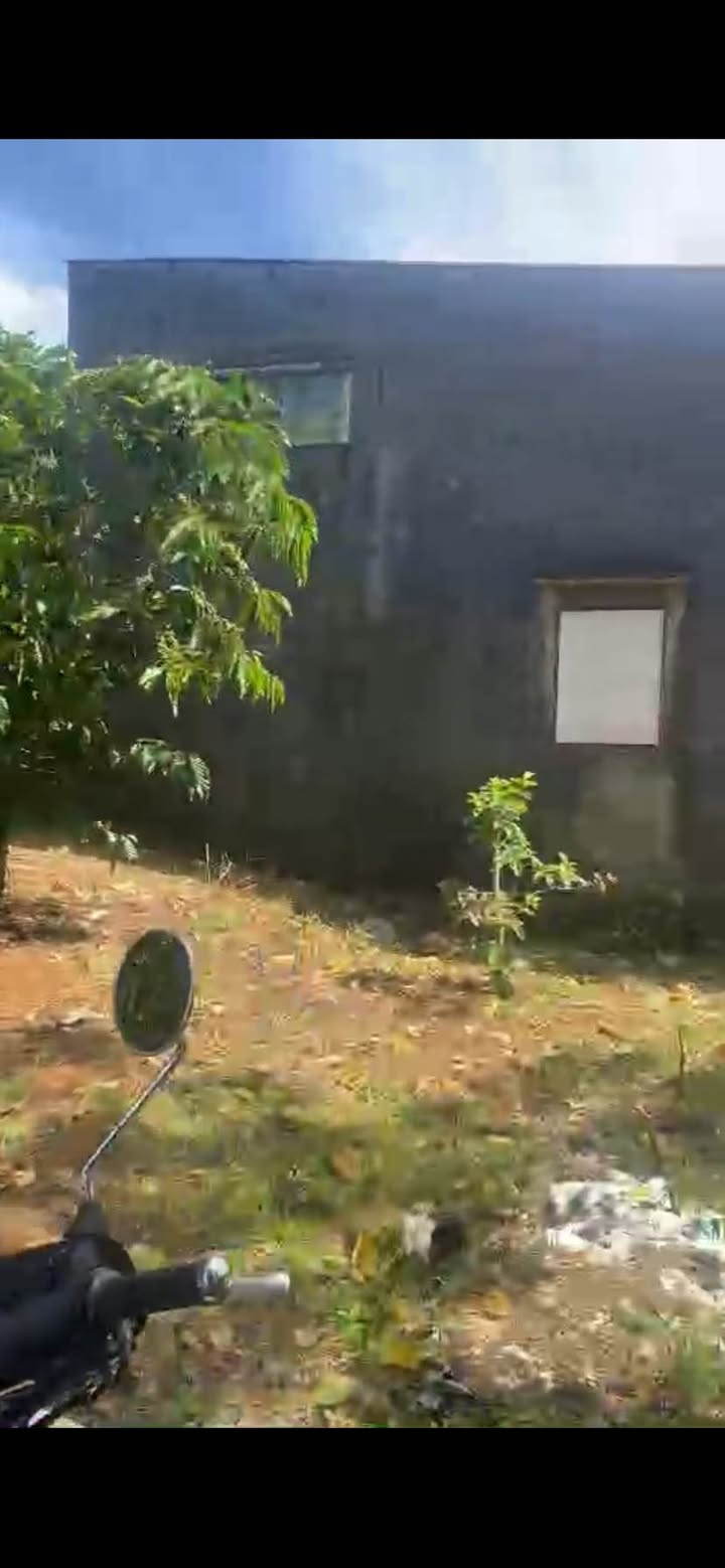 Farm 1 hecta tại Thôn 9, Xã Di Linh, Lâm Đồng - Giá chỉ 40 tỷ