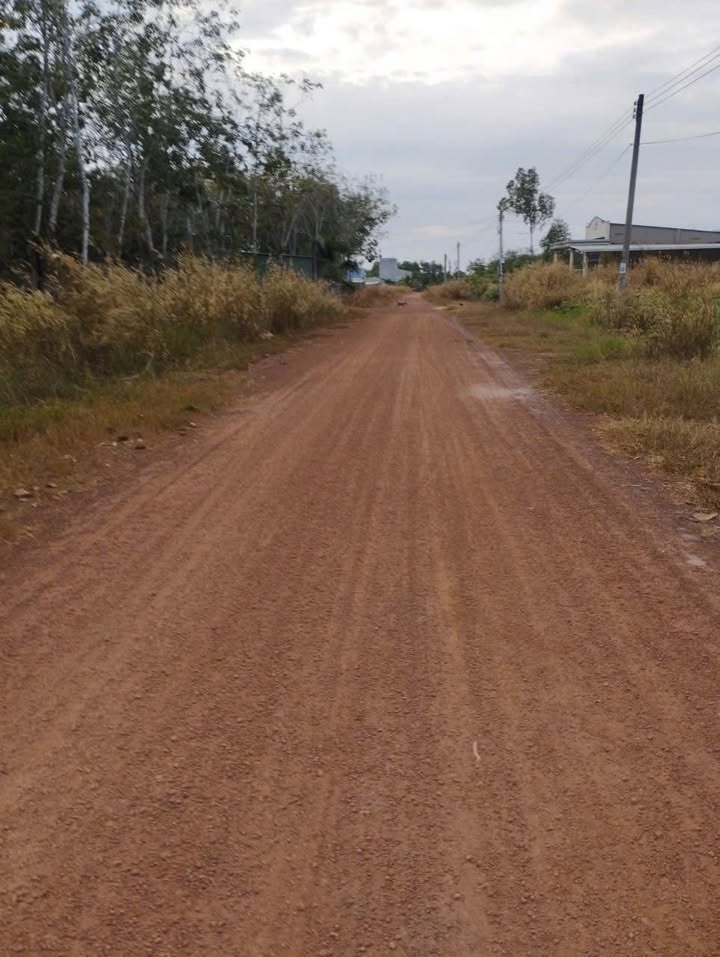 Đất thổ cư 180m² tại Minh Thạnh, Dầu Tiếng - Đường mở rộng, cơ hội đầu tư tuyệt vời!