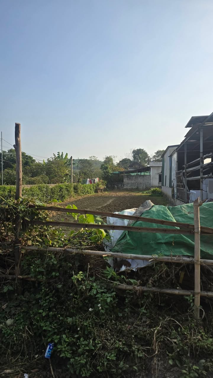 Đất thổ cư Thôn Xanh, Nho Quan, 200m² giá 1.4 tỷ - Đầu tư sinh lời ngay!