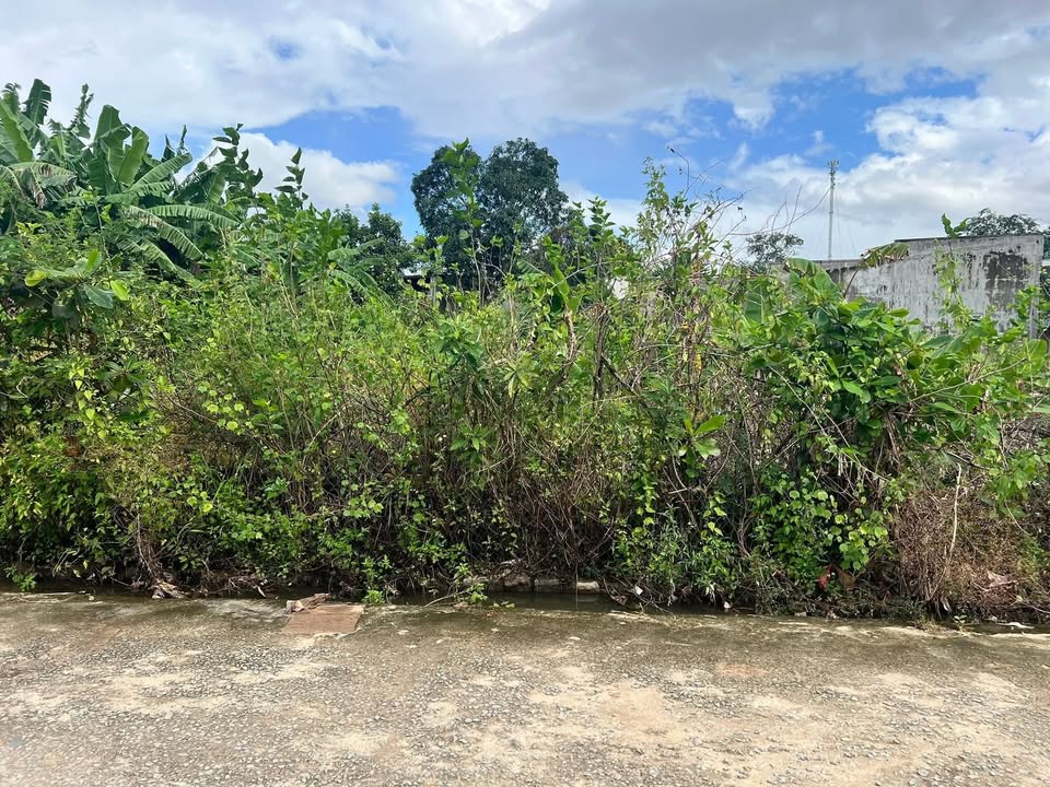 Đất thổ cư tại Thị trấn Tân Sơn, Ninh Sơn 234m² giá 790 triệu - Vị trí đắc địa gần quốc lộ!