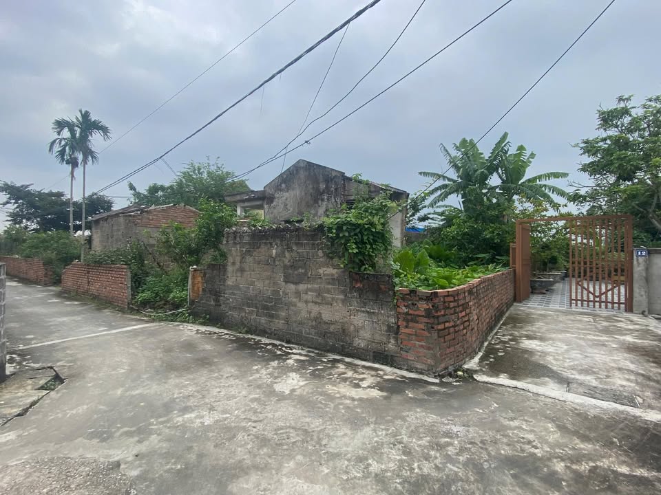 Đất nền Đào Yêu, An Dương 63.5m² chỉ 1 tỷ - Sổ hồng chính chủ!