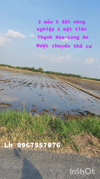 Đất nông nghiệp 26.000m² mặt tiền lộ nhựa 8 tấn Thạnh Phước - Cơ hội đầu tư tuyệt vời!