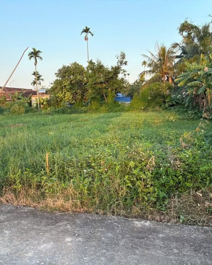 Đất nền 150m² tại Xuân Trại, Tiên Lãng - Giá chỉ 2 triệu/m²!