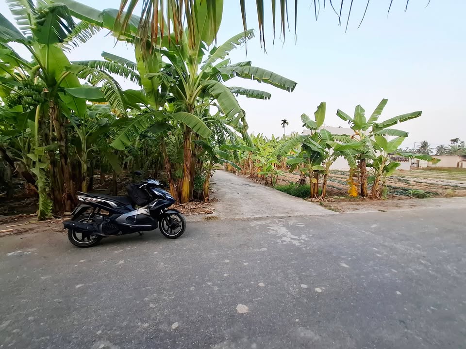 Lô đất 82m² tại Khu Công Nghiệp Tràng Duệ 3 - Đầu tư sinh lời chỉ 1 tỷ!