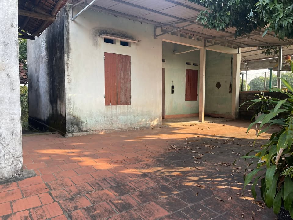 Đất thổ cư tại Yên Thế Bắc Giang 717m² giá 1.6 tỷ - Sẵn sàng xây dựng!