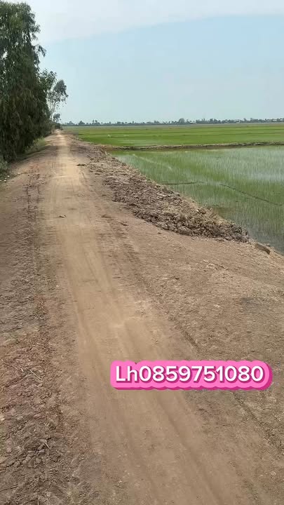 Đất nền 22 Xã Vĩnh Châu B, Huyện Tân Hưng 360m² giá 120 triệu - Đối diện đường nhựa