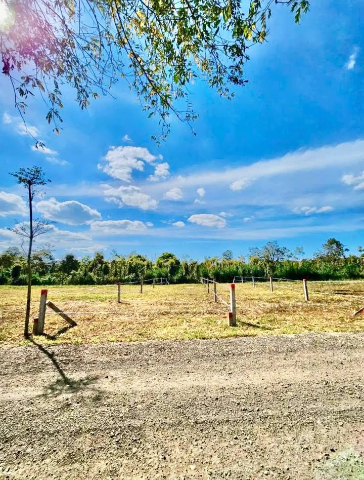 Đất nền hẻm Lý Chính Thắng, Quận 3, 130m² chỉ từ 500 triệu - Đầu tư sinh lời lâu dài!