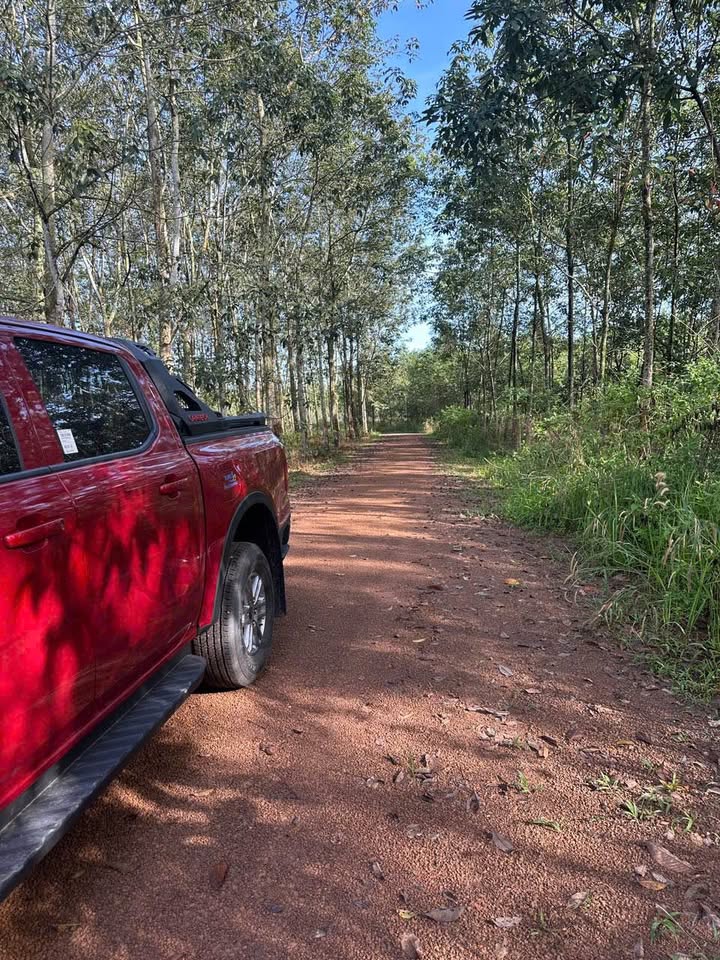 Đất nền 9500m² Thị trấn Lai Uyên - Đường Tạo Lực, giá chỉ 6 tỷ!