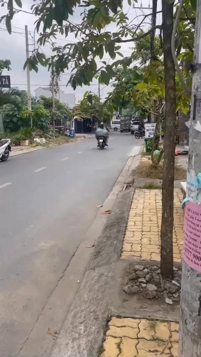 Nhà mặt tiền TTT 9, xã Thới Tam Thôn, 300m² giá 11 tỷ - Đầu tư sinh lời đa ngành nghề!