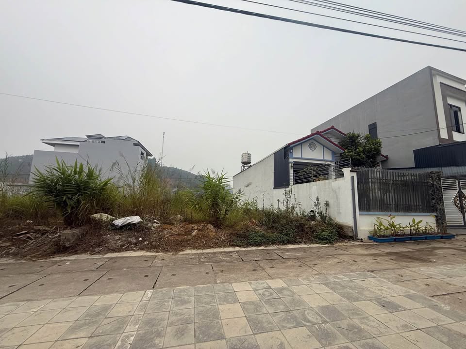 Đất nền VT1 Trấn Yên 160m² giá 6 tỷ - Đầu tư sinh lời ngay!