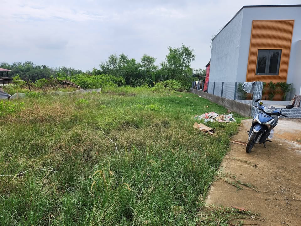 Đất thổ cư 220m² xã Phước Lại chỉ 990 triệu - Sổ đỏ chính chủ sẵn sang tên!