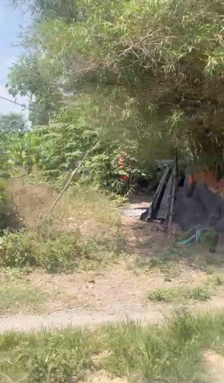 Đất thổ cư 181m² tại Tân Hòa, Tây Ninh - Giá chỉ 700 triệu, sổ hồng chính chủ!