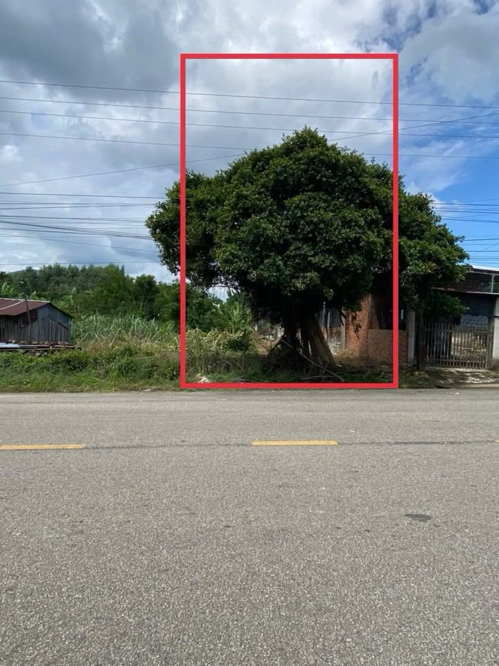 Đất thổ cư 404.3m² tại Đa Mi, Hàm Thuận Bắc, giá 1.3 tỷ - Vị trí kinh doanh lý tưởng!