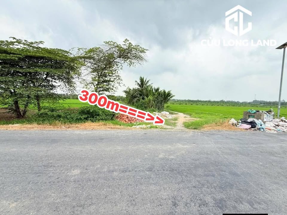 Farm 7200m² Phường Đông Thuận Vĩnh Long - Giá chỉ 1.77 tỷ, đầu tư sinh lời!