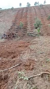 Đất nông nghiệp 8ha tại xã Hà Tây, huyện Chư Păh, giá 4.05 tỷ - Pháp lý rõ ràng!