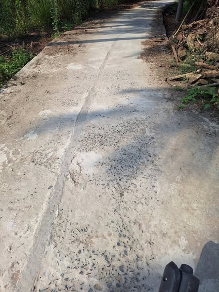 Đất nền Long Thới Chợ Lách 20.000m² giá 13.6 tỷ - Vị trí tiềm năng, thuận lợi phát triển!