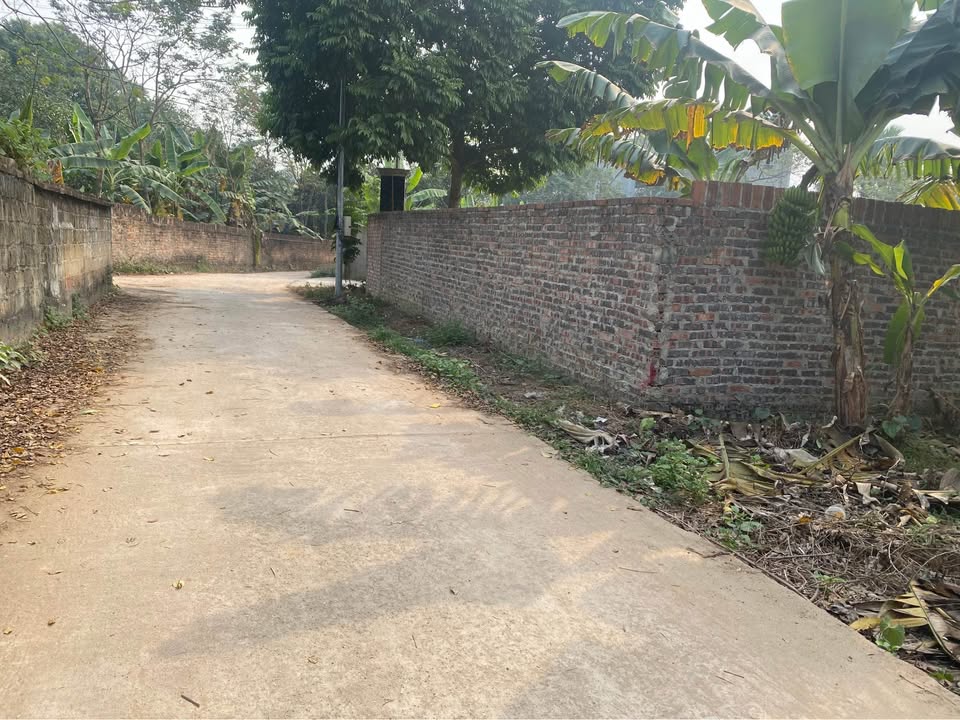 Đất nền Kiên Tràng - Tam Quan 105m² giá 800 triệu - Cơ hội đầu tư sinh lời!