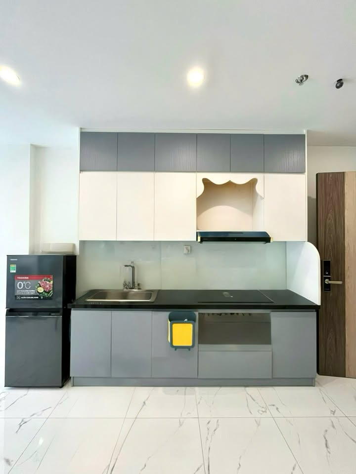 Căn hộ Oasis Thủ Đức 2PN 2WC giá 8 triệu - Full nội thất, sẵn sàng vào ở!