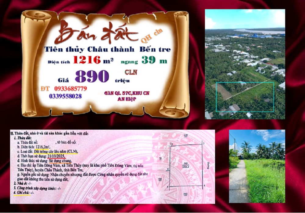 Đất hẻm dân Tiên Thủy, Châu Thành, Bến Tre 1216m² - Cơ hội đầu tư giá tốt!