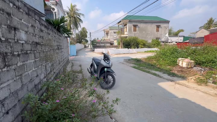 Đất Viên Lang - Vĩnh Bảo - Hải Phòng 89m² giá 80-90 triệu - Pháp lý rõ ràng