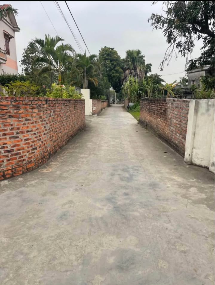 Đất nền xã Nam Hưng, huyện Tiên Lãng, 94.4m² chỉ 1 tỷ - Đầu tư sinh lời!