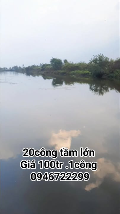 Đất ruộng Kim Quy, An Minh 20 công chỉ 2 tỷ - Cơ hội đầu tư sinh lời!