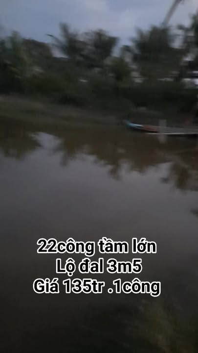 Đất ruộng 22.000m² xã Đông Hưng B, huyện An Minh giá 2.97 tỷ - Cơ hội đầu tư hấp dẫn!