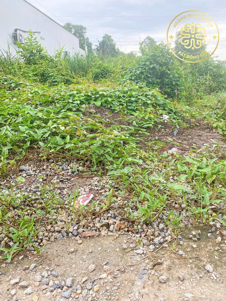 Đất nền 2 mặt tiền Kênh Đạo Cà Mau 1790m² giá chỉ 1.4 tỷ - Đầu tư sinh lời tuyệt vời!