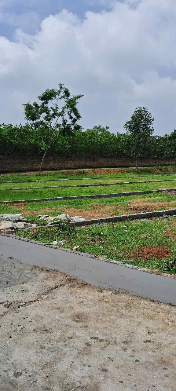 Đất nền Ngọc Sơn, Hiệp Hòa, Bắc Giang 150m² chỉ 700 triệu - Cơ hội đầu tư hấp dẫn!