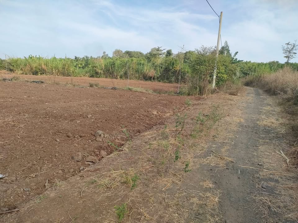 Lô đất Bình Trung 300m² giá 350 triệu - Sổ riêng chính chủ!