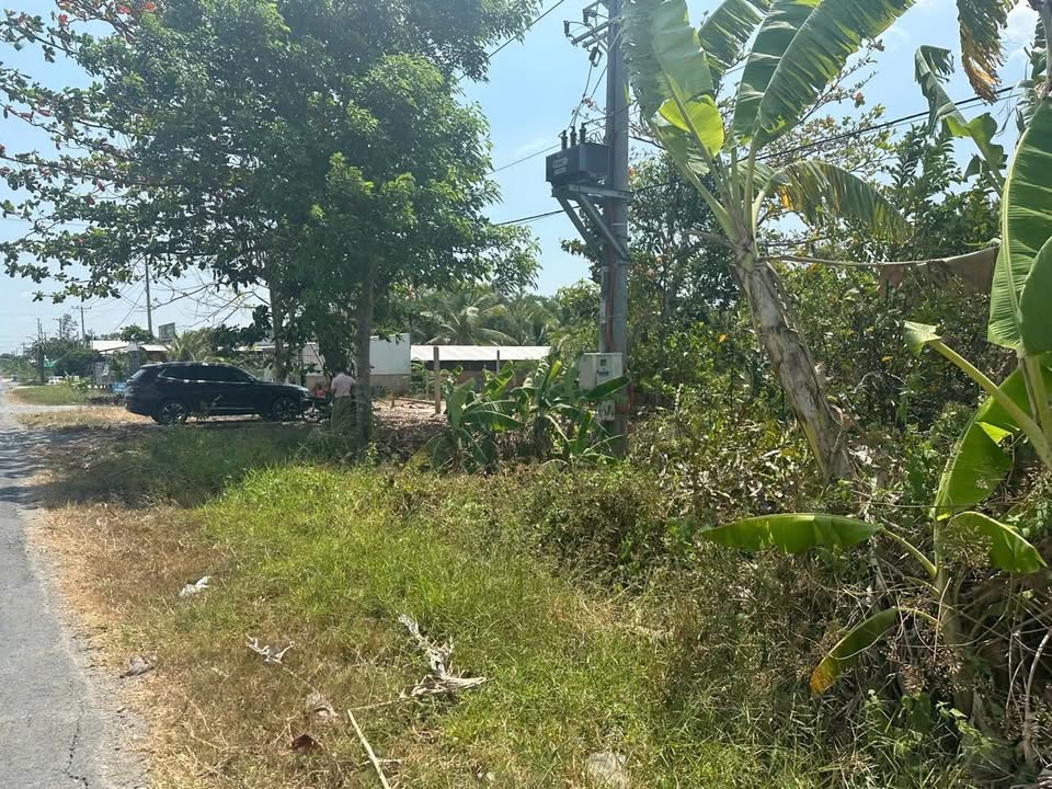 Đất nền mặt tiền Quốc lộ Nam Sông Hậu 11.000m² - Vị trí đắc địa cho đầu tư!