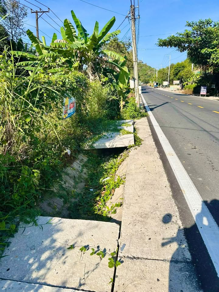 Đất nền Thị trấn Đạ Tẻh 231m² giá 700 triệu - Sổ hồng chính chủ sẵn sàng công chứng!