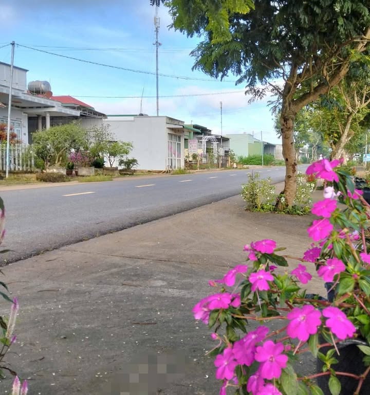 Đất nền mặt tiền đường DH11, xã Quảng Lập, Đơn Dương 504m² giá 141.12 tỷ - Sổ hồng riêng chính chủ!