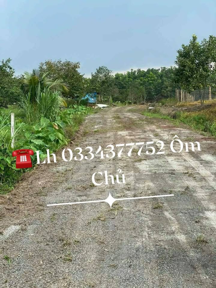 Farm 360m² Đường Đất, Cam Bình, Cam Ranh - Giá đầu tư sinh lời hấp dẫn!