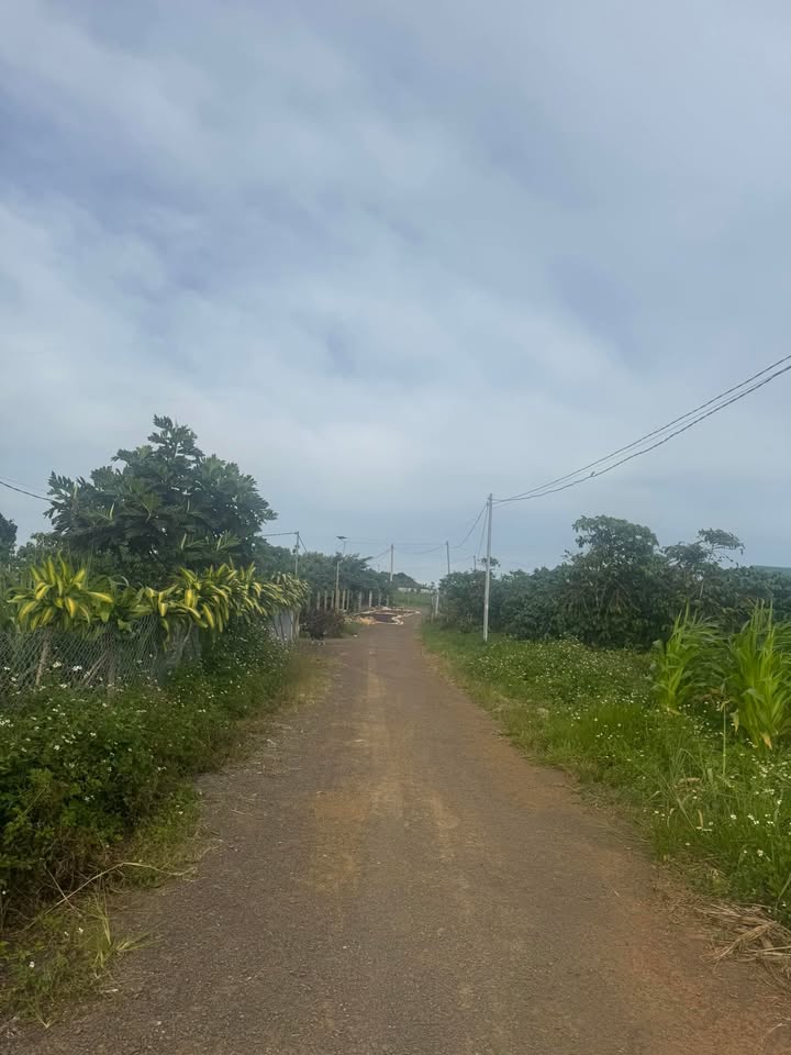 Đất Bảo Lộc 1000m² giá 1.5 tỷ - Tiềm năng đầu tư lớn!