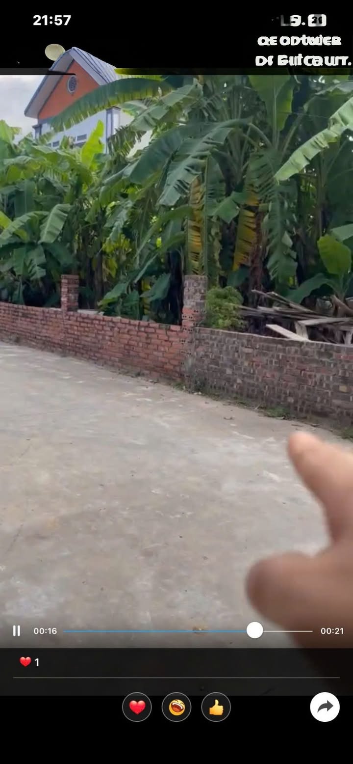 Đất nền thổ cư 150m² tại xã Trung Chính, Bắc Ninh - Kinh doanh ngay giá 1 tỷ!