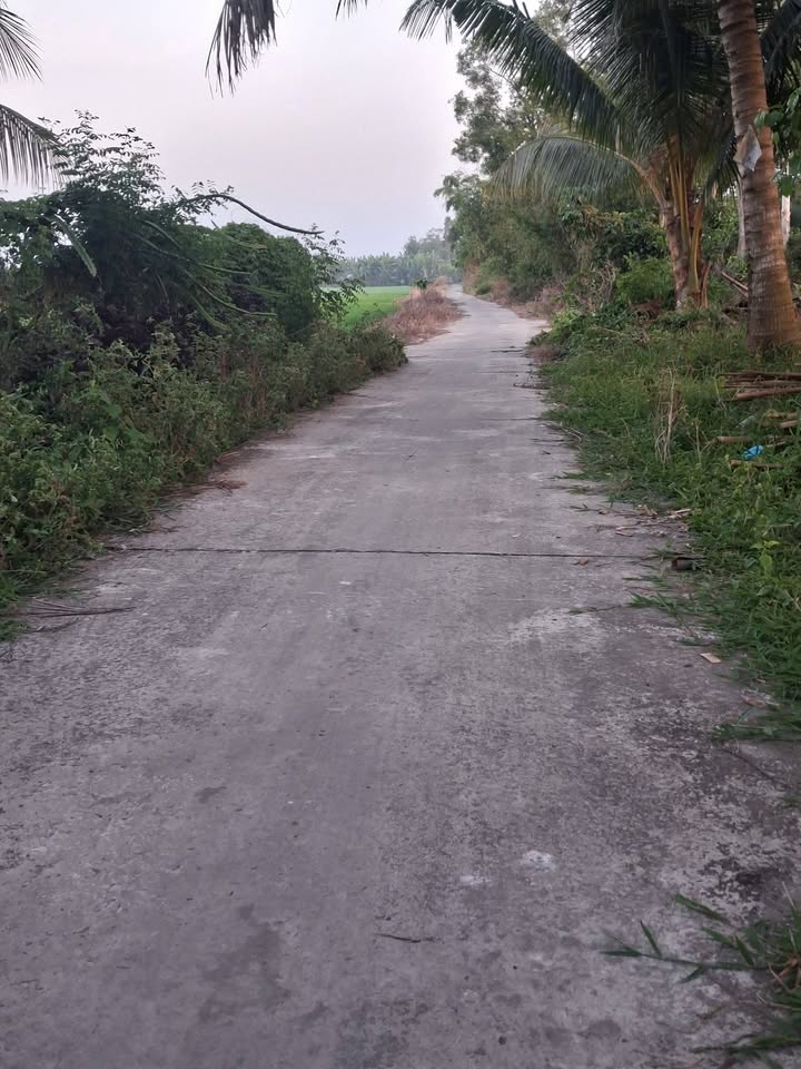 Đất ruộng K17 Phú Quốc 4600m² giá 1 tỷ - Tặng nhà cấp 4 ngay!